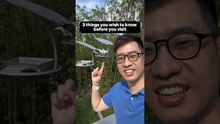 3 things you wish to know before you visit the brand new Bird Paradise at Mandai screenshot 3