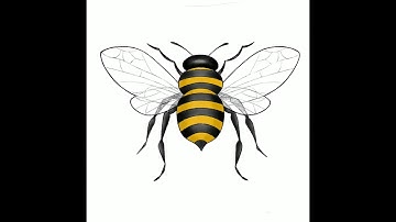 Time Lapse Drawing: Honeybee