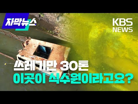 [자막뉴스] 중부권 최대 <strong>식수원</strong> 대청원 정화 활동...쓰레기만 30톤 / KBS 2022.10.12