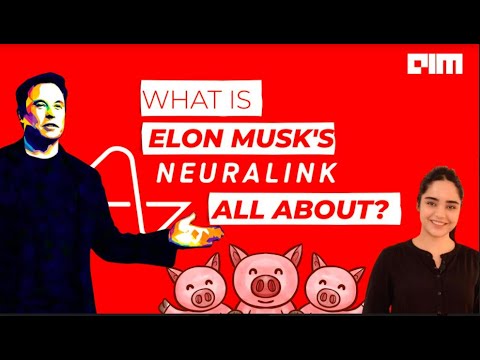 What is Elon Musk's Neuralink all about?