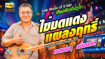 Thumbnail of อ.หนุ่ม ภูไท | พิณ ม่วนๆ ไข่มดแดงแผลงฤทธิ์