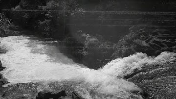 Isolation (Official Video)