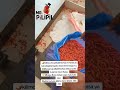 karibu ujifunze kilimo cha pili pili kichaa 0684 338 310