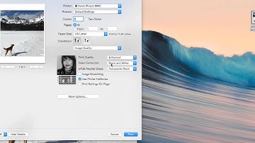 How to Print in Black and White on a Mac Pictures, Word, PDF, Excel