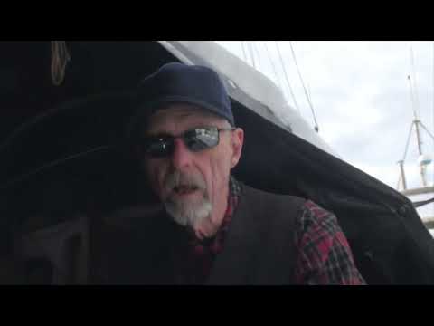 Cruising Lealea: New Stuff