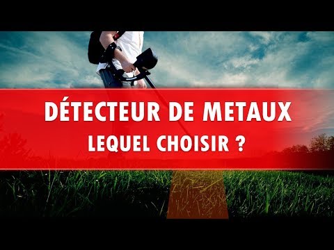 Vidéo: Comment Choisir Un Détecteur De Métaux