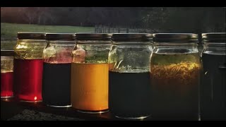 Infusing Oils with Herbs and Spices for Use in Cold Process Soap Making