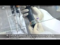 PCR Master Mix preparation and RT-PCR