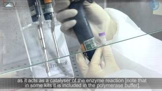 PCR Master Mix preparation and RT-PCR