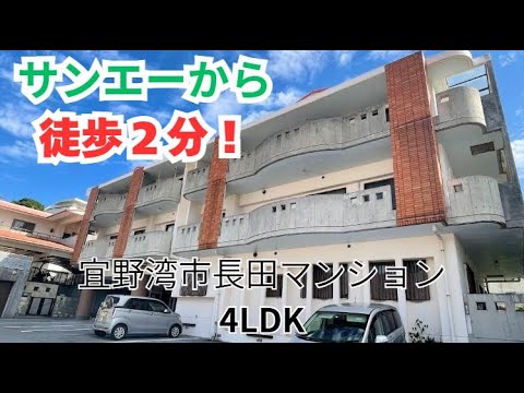 ★たぁたん★ 【引き取り限定（大阪長居）】