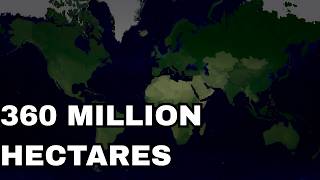 Every Country's Forest Loss Mapped (1990–2025) | Animated Map