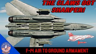 The F-14 Tomcat's Got More Than Its Missiles!