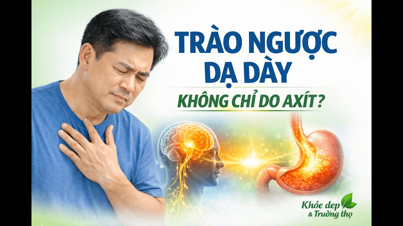 • Trào ngược dạ dày: Khi vấn đề không chỉ nằm ở axít.