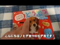 最近の絵本すごい！動物の声１１種類収録！最後にあの名曲も…