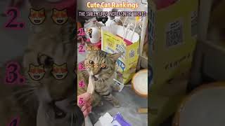 #interesting #foryou #funny #cat #funnyvideo #fyp #comedy #mischief Funny Cat Compilation.Hahahaha