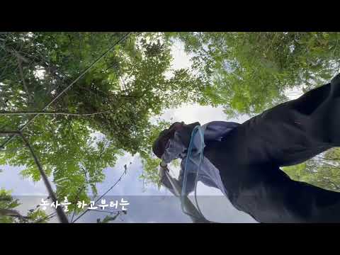 초보 농사꾼의 농사일기, 들깨심기 좋은 날, 유튜브 시작