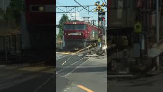 JR貨物 今日も働く金太郎 EH500-62  JR東北線下り 第四奥州道踏切