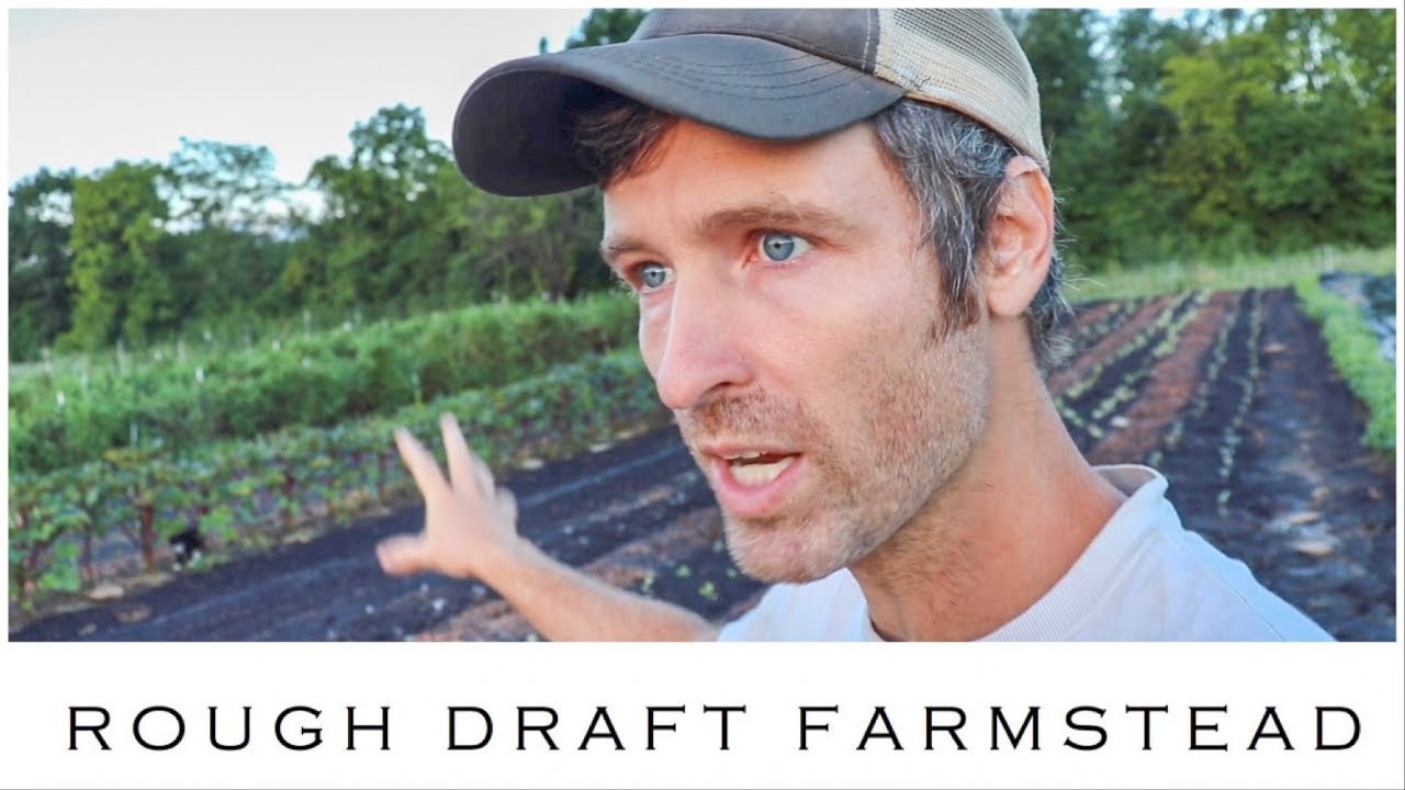 new farmer id odisha So you want to Start a Farm? Six Things You should Know