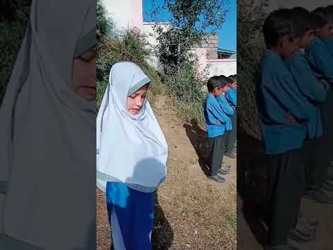 خون میں رنگین ہو کس قدر غمگین ہو میں فلسطین ہوں بہت ہی خوبصورت بچی نے نظم پڑھی