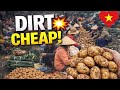 Selling on the Ground?! 7AM at a Rural Local Market