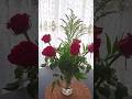 🏩🌹
