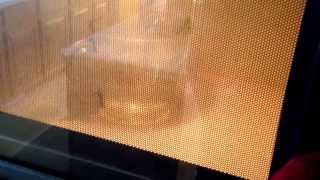 Big bluegill and some science!