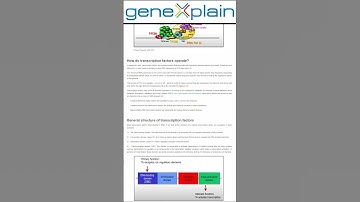 "A Deep Dive into Transcription Factors: The Master Regulators of Gene Expression" #bioinformatics