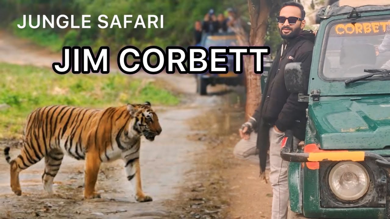 Jungle safari || Jim Corbett || National Park || Uttrakhand || sitabani zone sitavani temple || dam