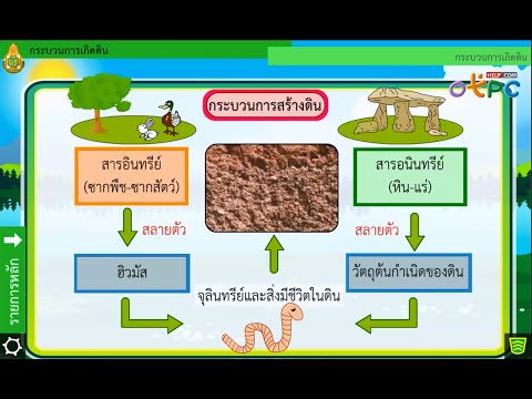 วีดีโอ: กระบวนการใดรับผิดชอบการก่อตัวของดินมากที่สุด?