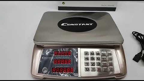 Constant Digital Price Computing Scale