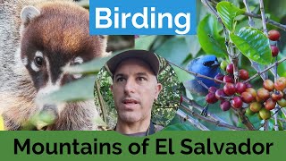 Birding in the Mountains of El Salvador