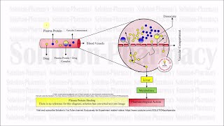 (40) Plasma Protein Binding | Plasma Protein Binding of Drug | Pharmacology of ADME | English