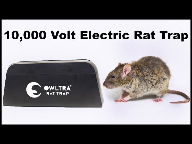 Owltra Infrared Electronic Rat Trap. 6,000 - 10,000 Volts. Mousetrap  Monday. 