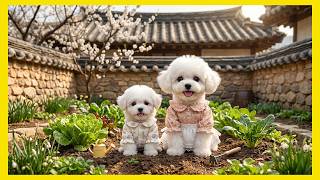 Sentences You Must Remember To  A Life Without Regrets  The Kkakung U0026 Haru Siblings 4th Wis