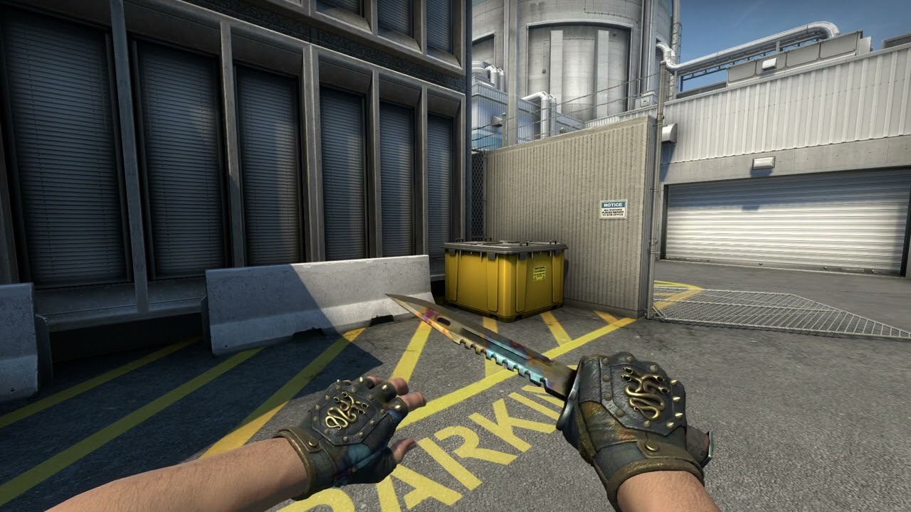 COMBO - Hydra Gloves | Case Hardened (FT) + M9 Bayonet | Case Hardened (FT)