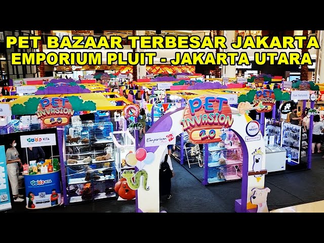 PET BAZAAR TERBESAR DI JAKARTA - PET INVASION 2.0