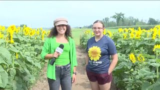 Upper Michigan Today - Hall Farms