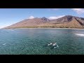 Maui surfing lessons  learn to surf in maui