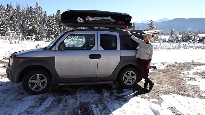 #ArtLife Meets #VanLife | Artist Emilie Lee Shows ...