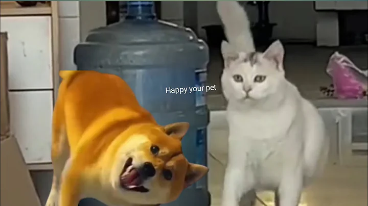 Watch the video about Funny Cat and Dog Videos 2025 😺🐶 Try Not to Laugh Challenge 🤣 #413