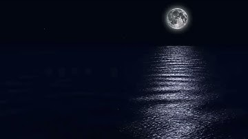 أواخر سورة لقمان ، سورة السجدة - التراويح ليلة 21 رمضان 1444