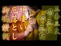 【御魂讃詞】三条三文唱えに唱えて御魂を清める絶対的に効果が得られるご祈願です