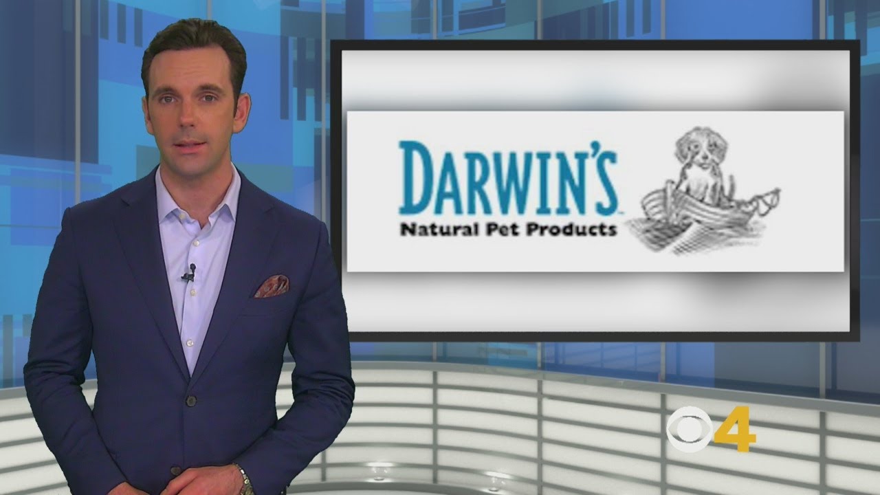 FDA Darwin’s Raw Dog Food Could Contain Salmonella YouTube
