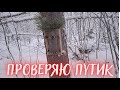 ОХОТА НА СОБОЛЯ. Серия № 7. Проверяю путик / SABLE HUNTING. Series No. 7. Checking the trail