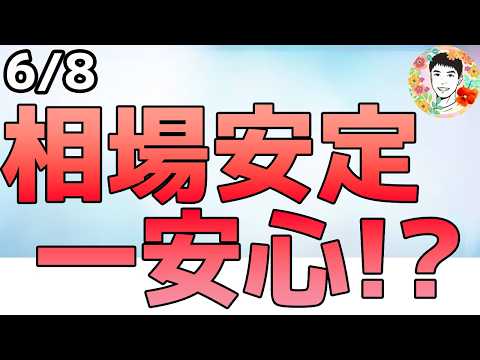 半導体株は買い戻し！今後も押し目は拾うべし！【6/8 米国株ニュース】
