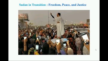 IHE Delft 💧 Plenary 2: Webinar: Developing Capacity moderated by Prof Alaerts