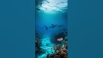 اقتربت الساعة وانشق القمر | تلاوة نادرة ومبكية للشيخ عبد الباسط عبد الصمد2025اقتربت الساعة