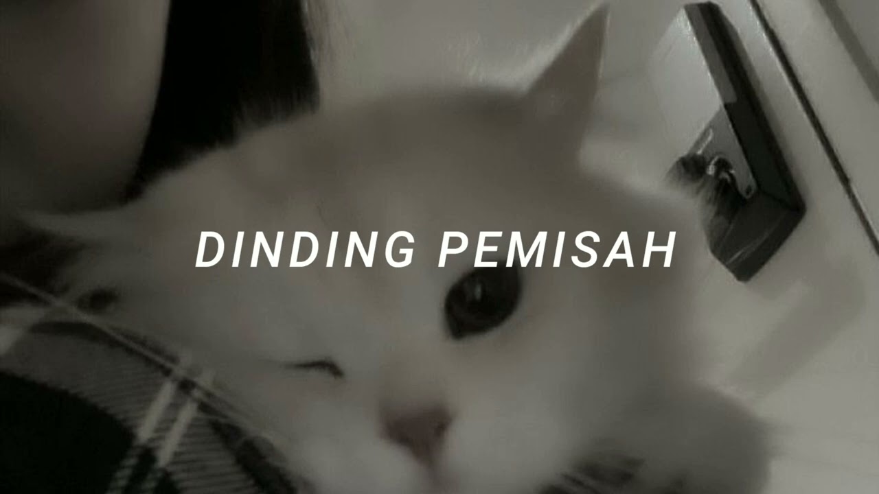 Raffa affar - Dinding pemisah ( slowed ) + reverb