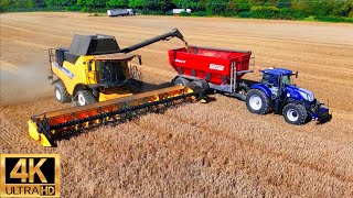 4K NEW HOLLAND CASE Harvesting WHEAT