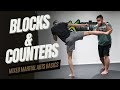 MMA Basic Punches Kicks Blocks And Counters MMA Basic Punches Kicks Blocks And Counters